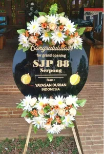 Grand Opening Wonosobo